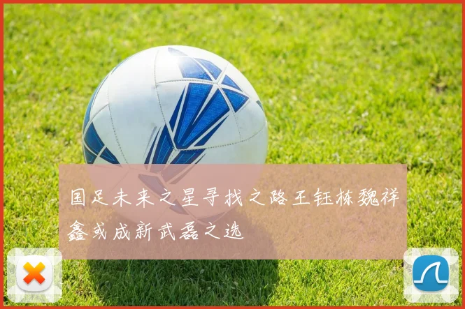 国足未来之星寻找之路王钰栋魏祥鑫或成新武磊之选